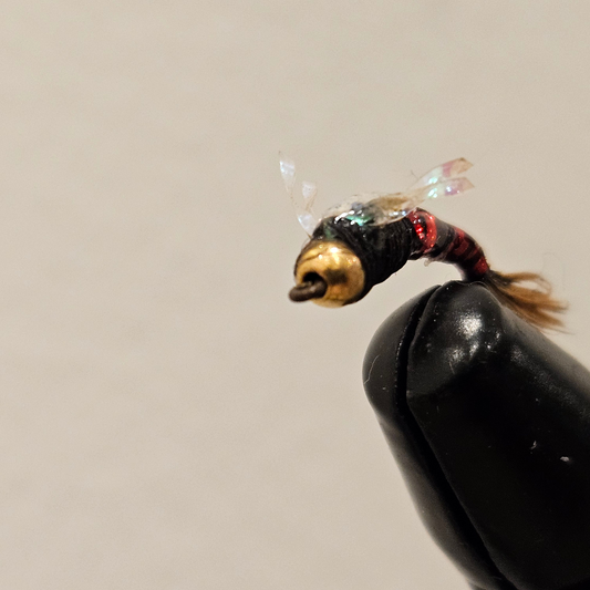 The Juju Baetis Fly