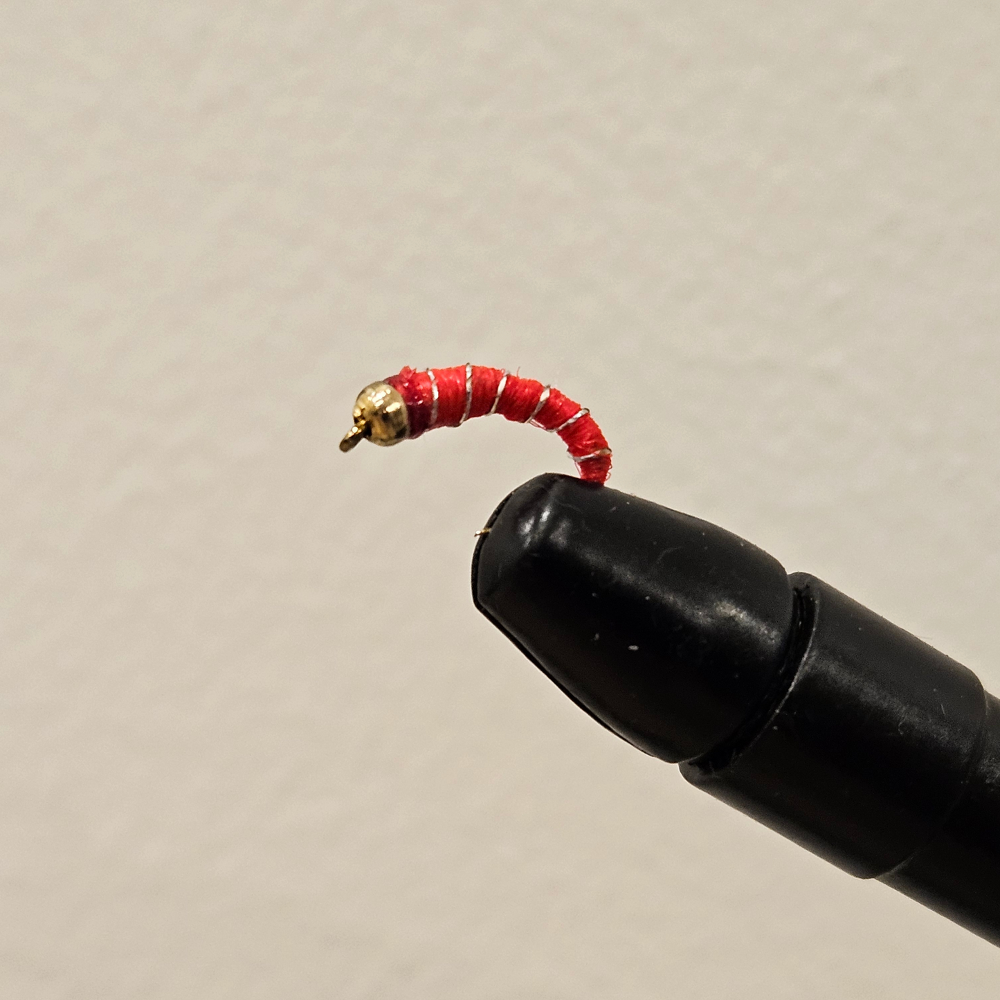 Zebra Midge