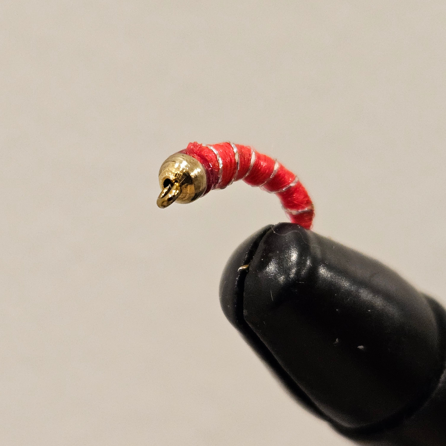 Zebra Midge