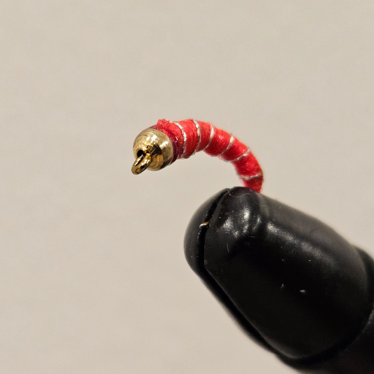 Zebra Midge