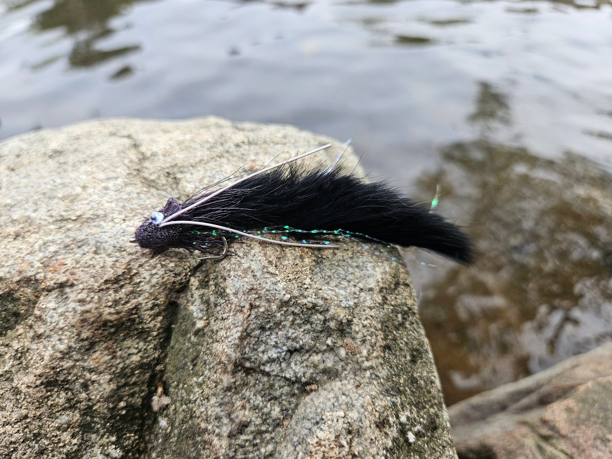 Black Diver Zonker