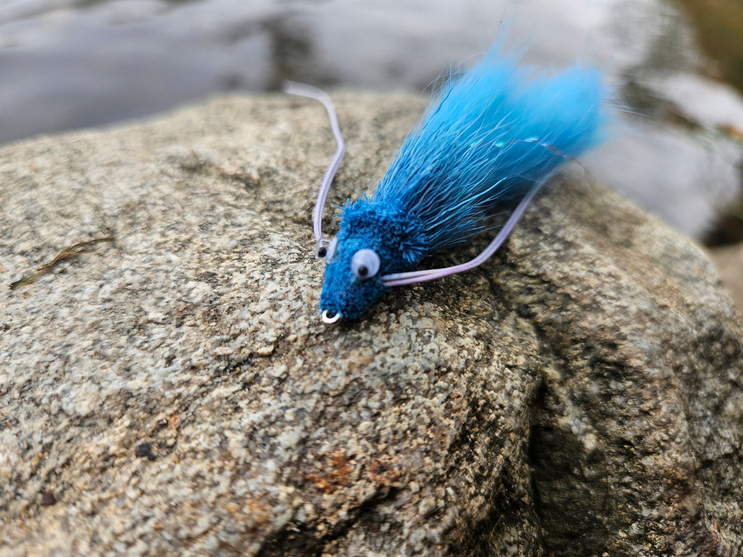 Blue Diver Zonker