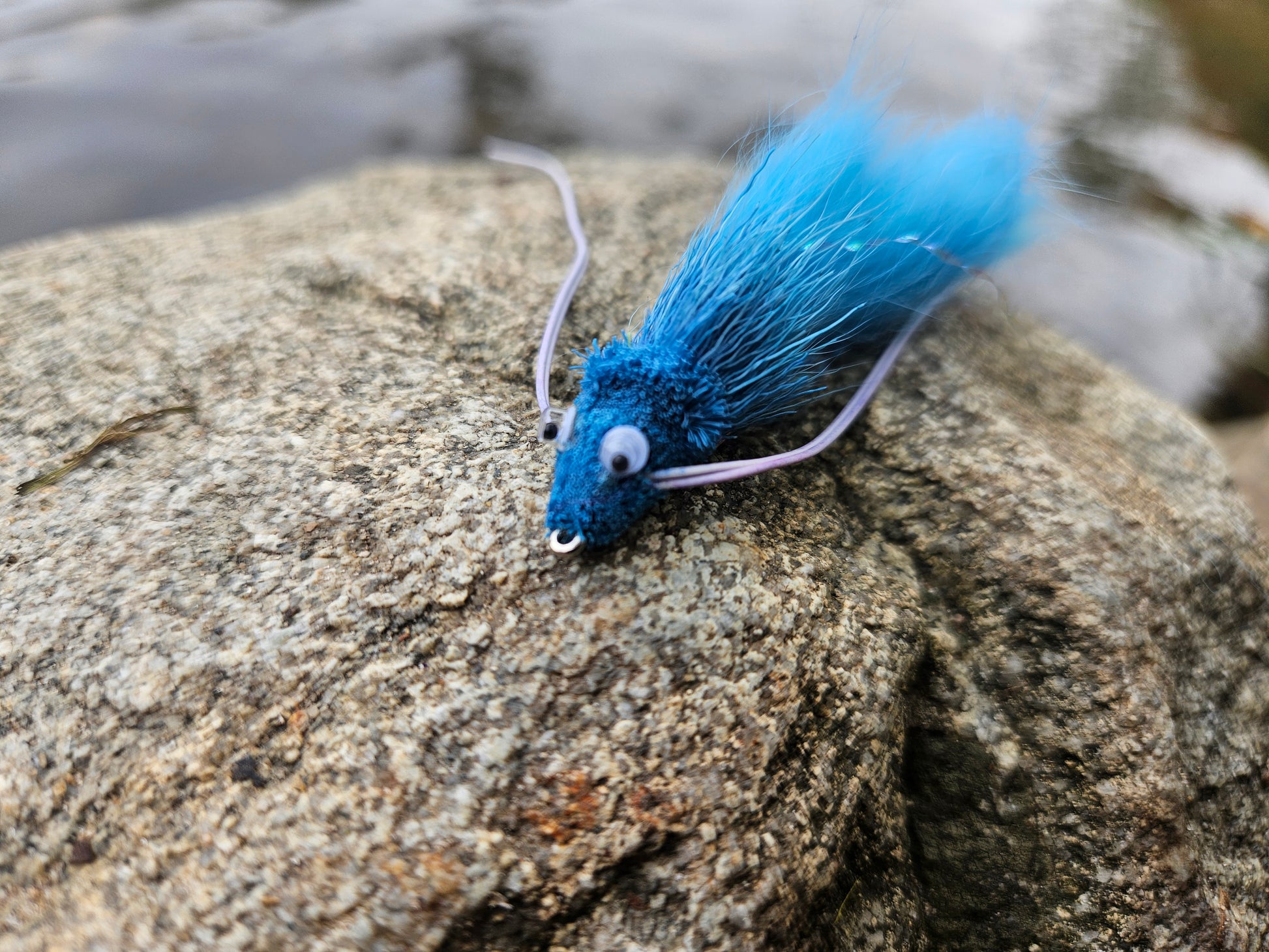 Blue Diver Zonker
