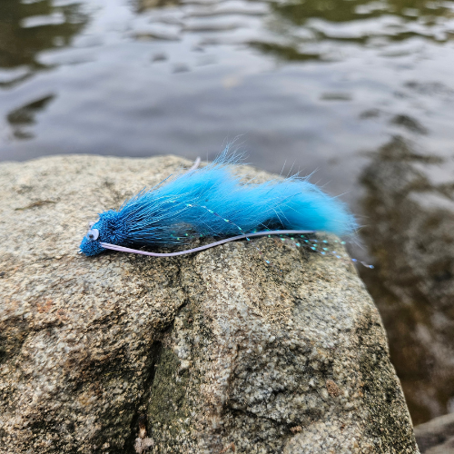 Diver Zonker Blue