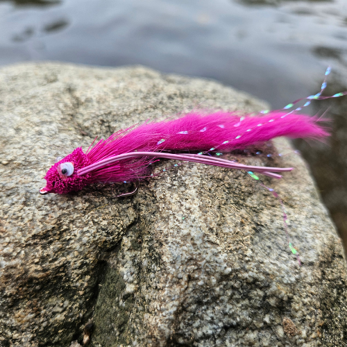 Diver Zonker Pink