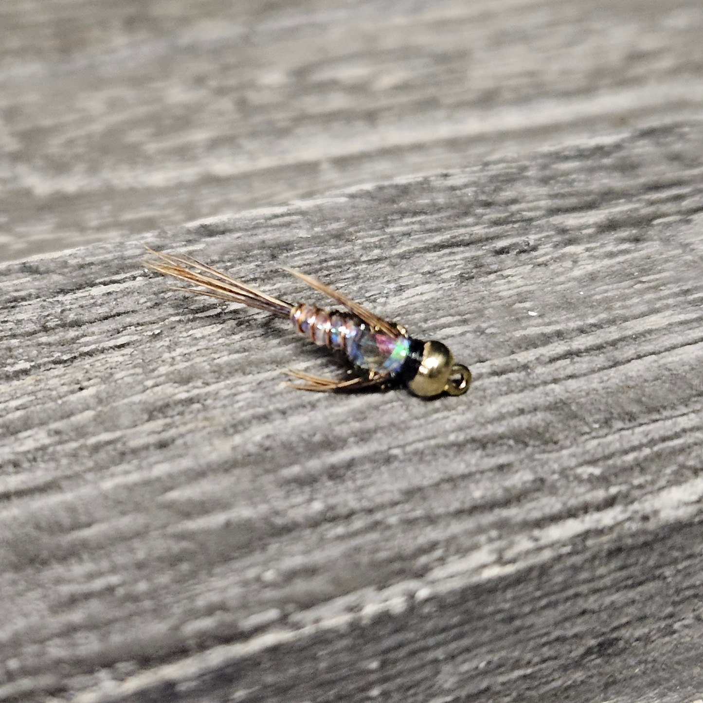 Pheasant Tail Nymph
