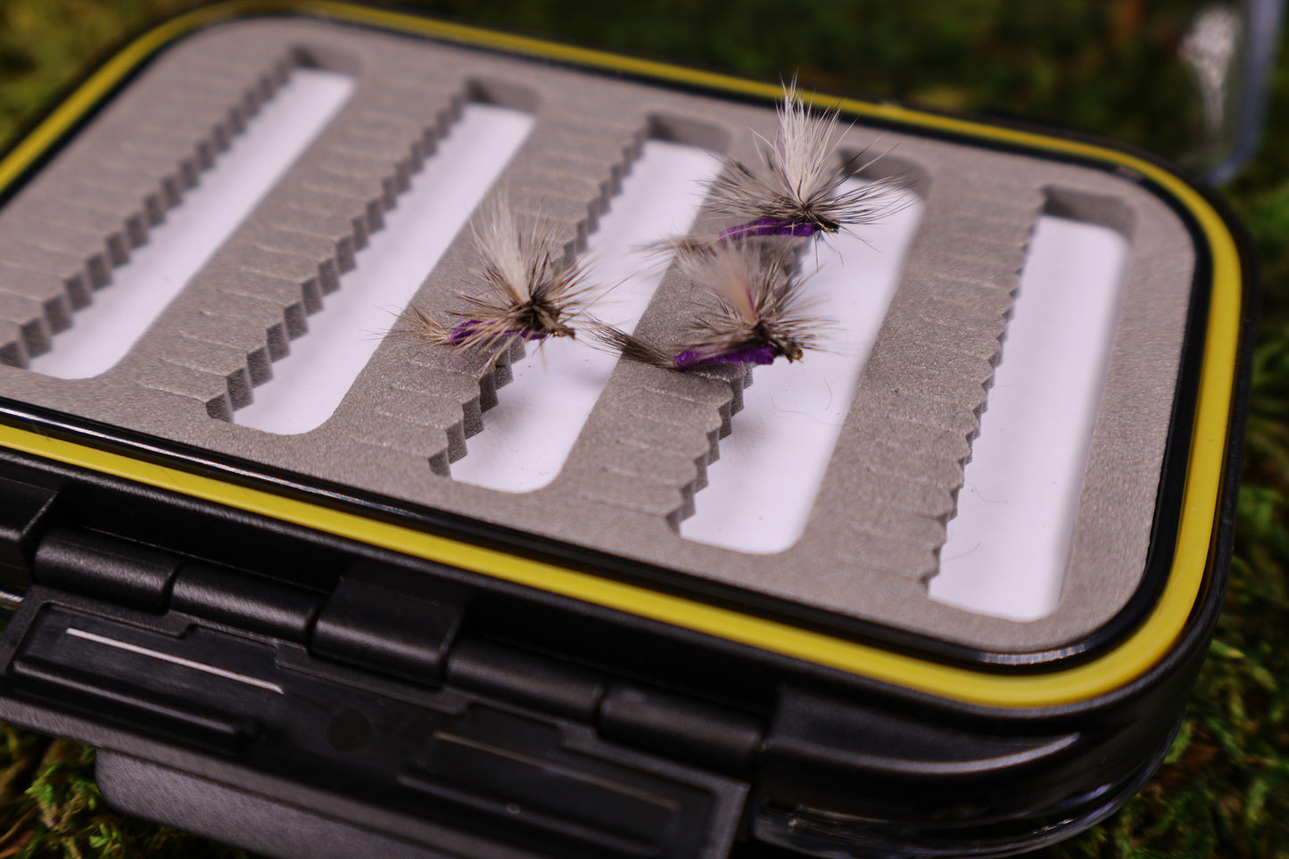 Purple Haze Dry Fly