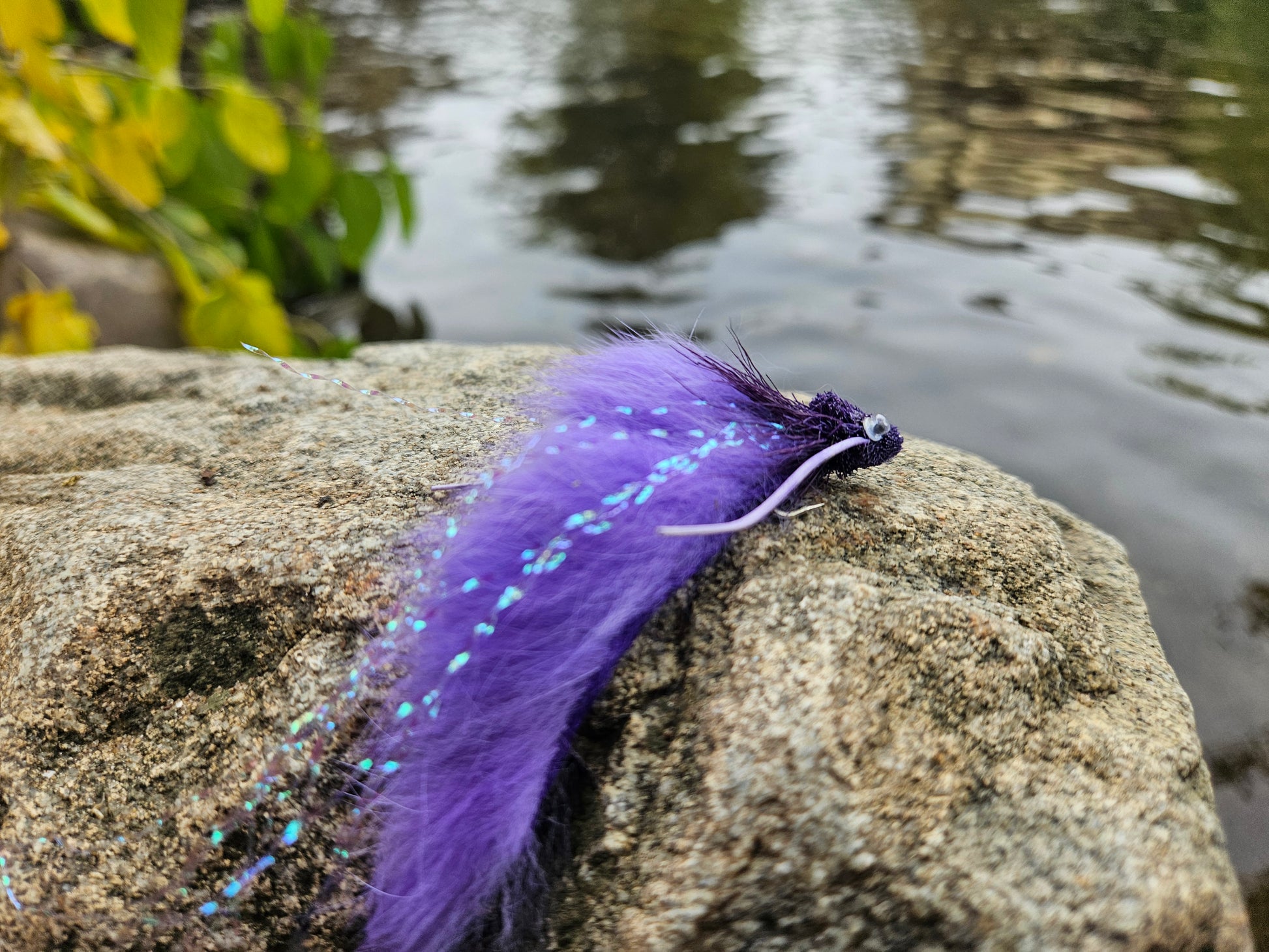 Purple Diver Zonker