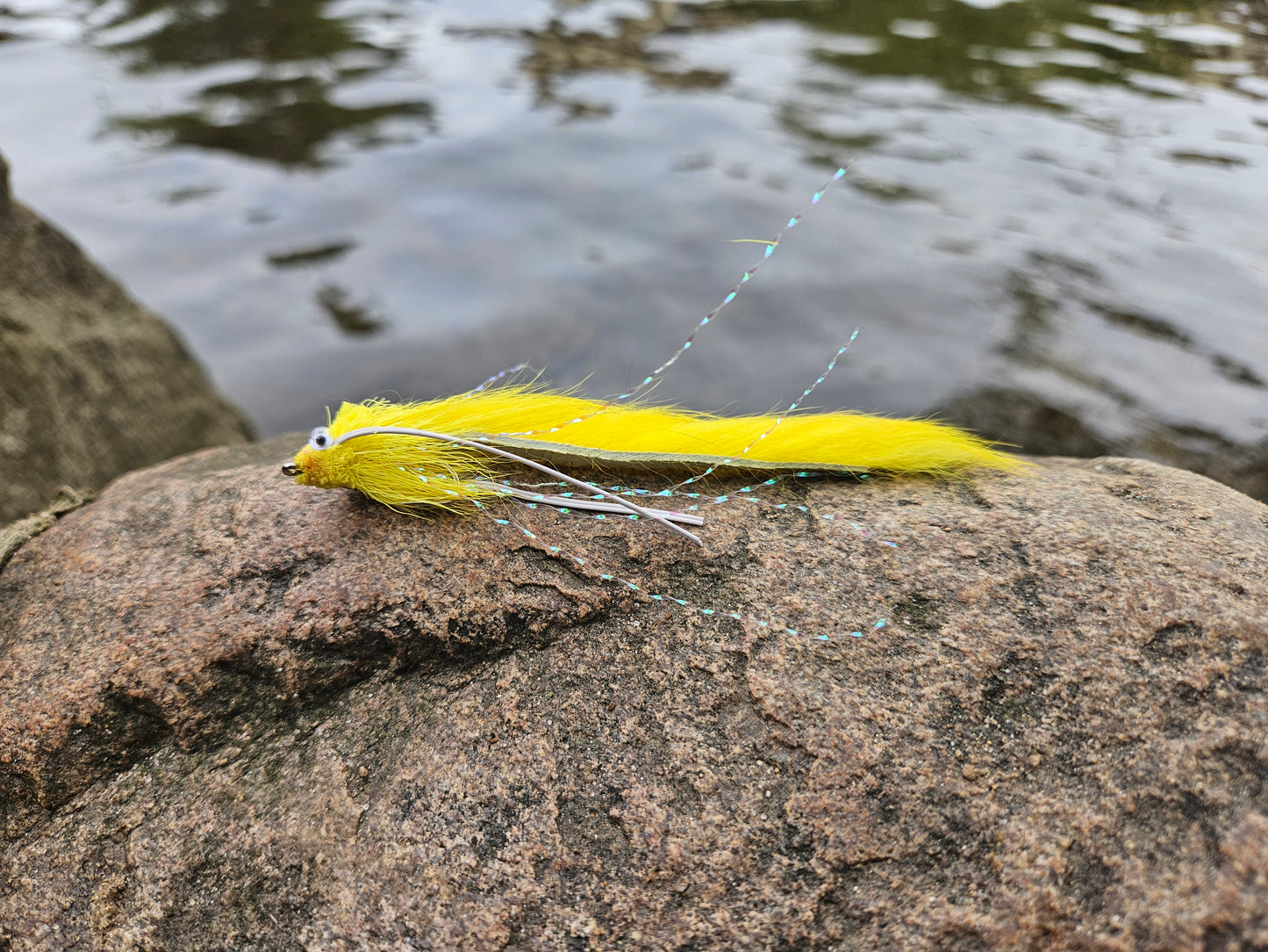 Yellow Diver Zonker
