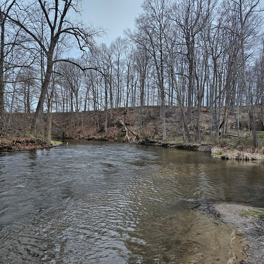 Dowagiac River Fishing Report March 30 2024