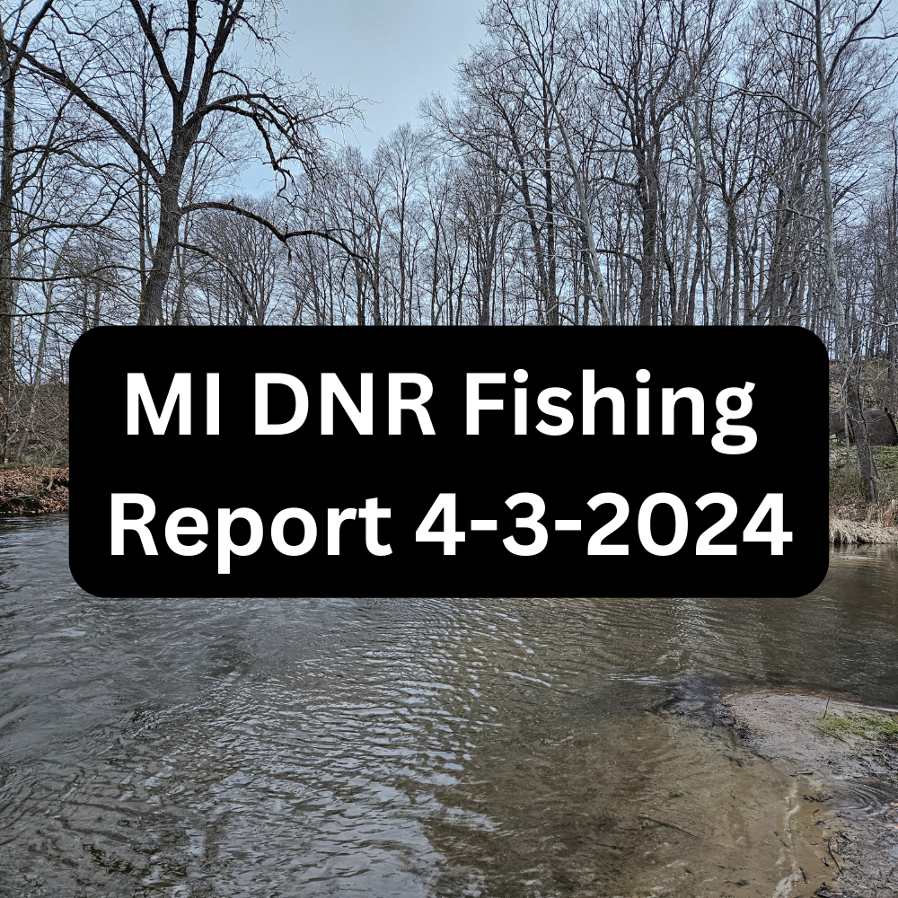 Michigan DNR Fishing Report 4-3-2024