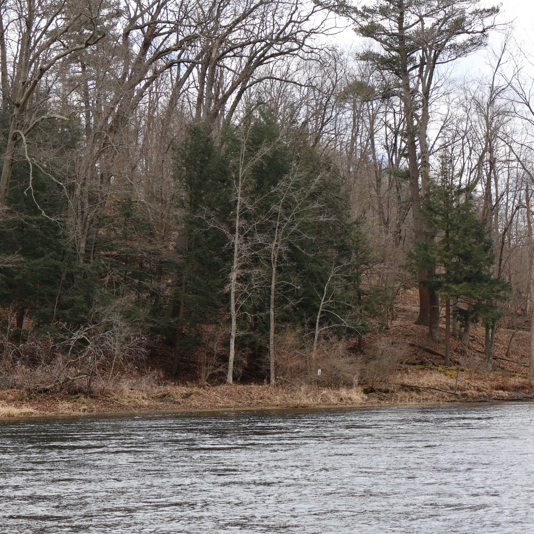 Muskegon River Fishing Report 2-9-2024