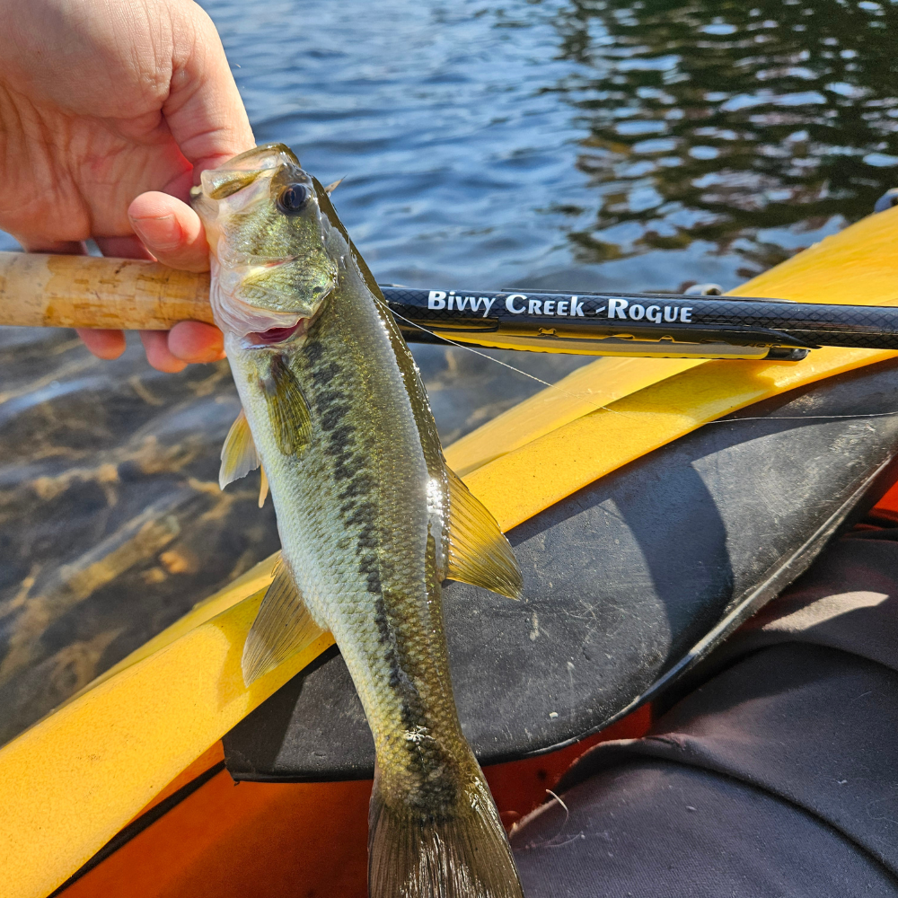 Tenkara Fishing