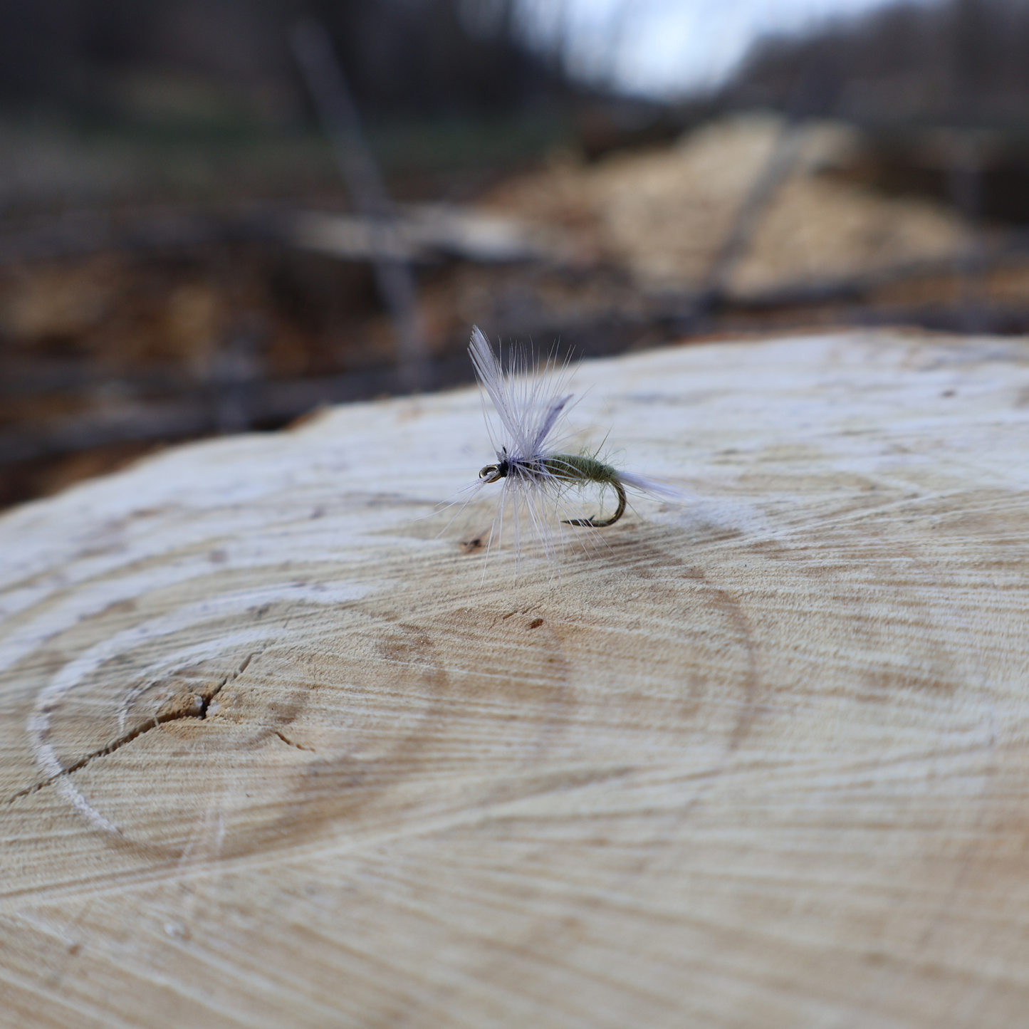 Trout Fly Set