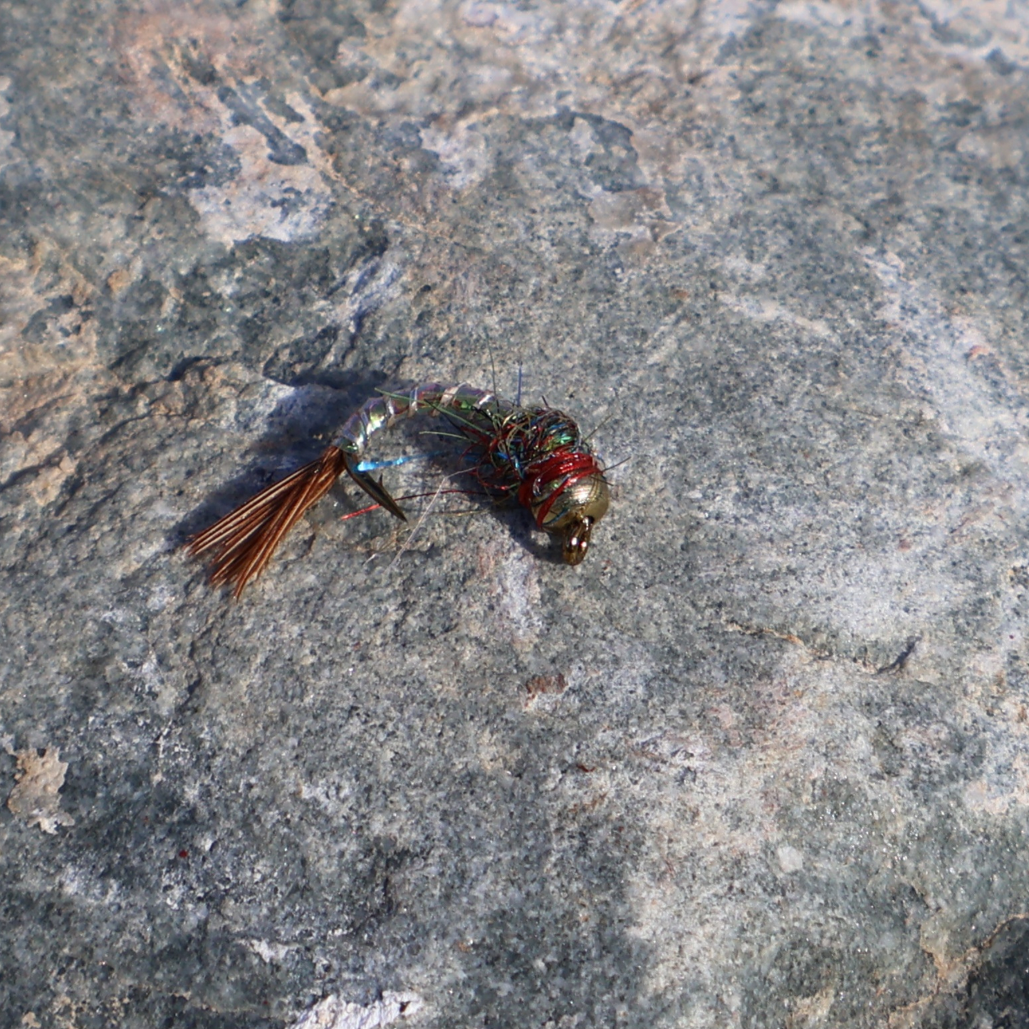 Rainbow Warrior Nymphs