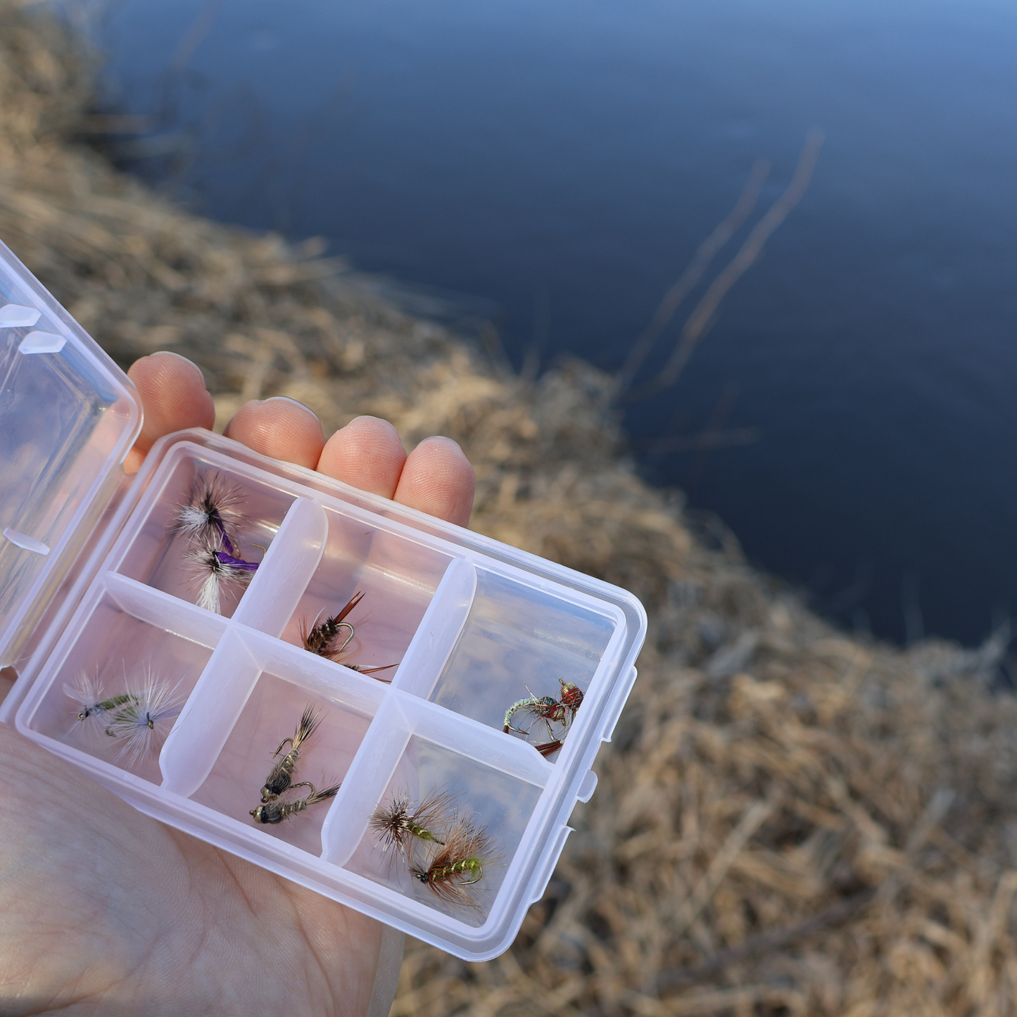 Trout Sampler Box