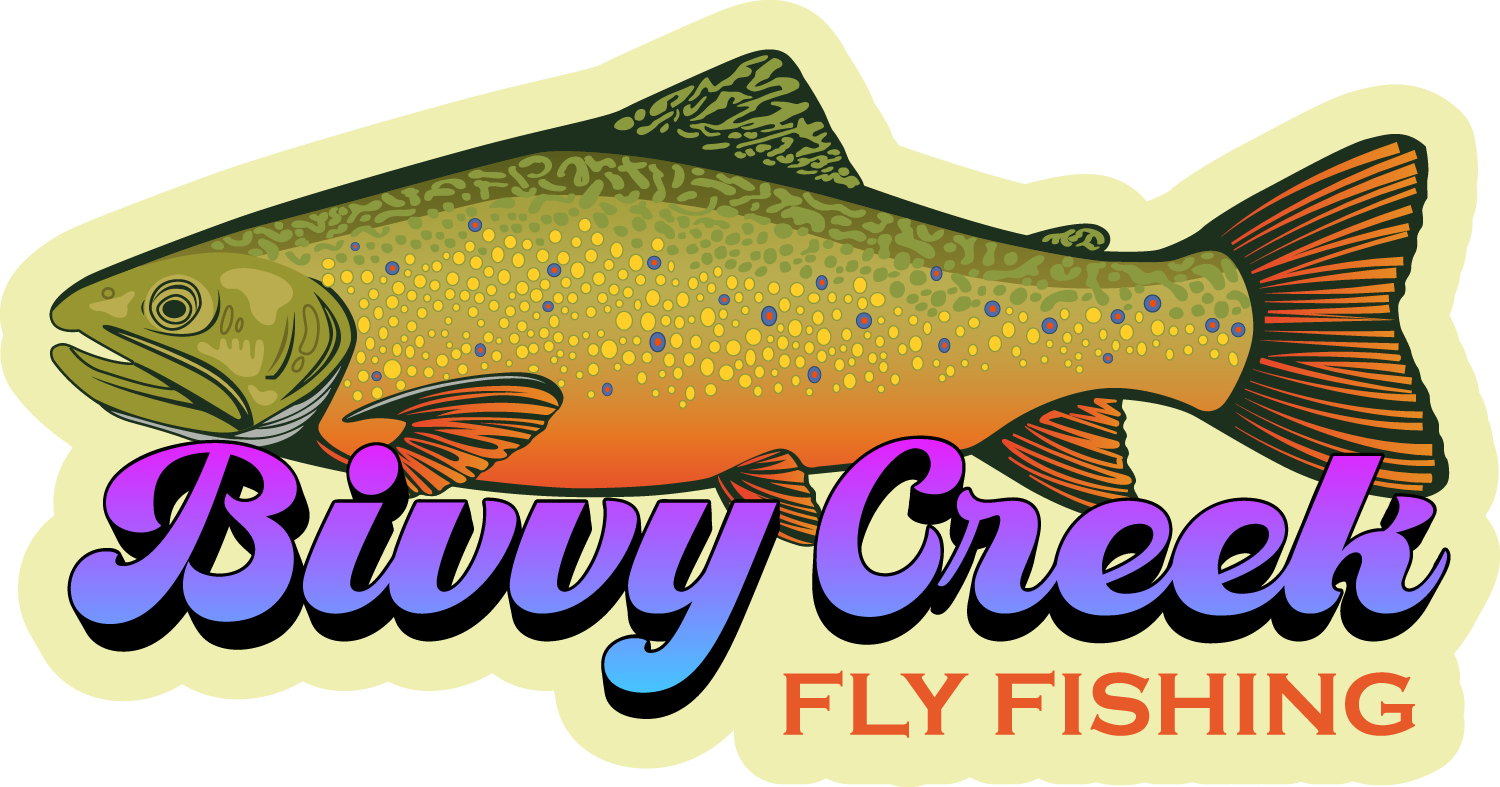 Load video: Smallmouth bass caught while fly fishing in the White River